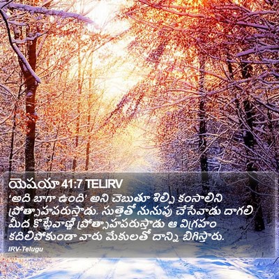 యెషయా 41:7 TELIRV Bible Verse Image