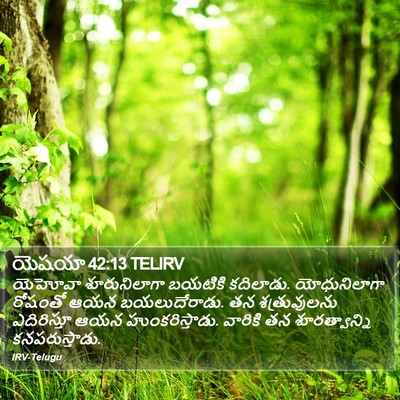యెషయా 42:13 TELIRV Bible Verse Image