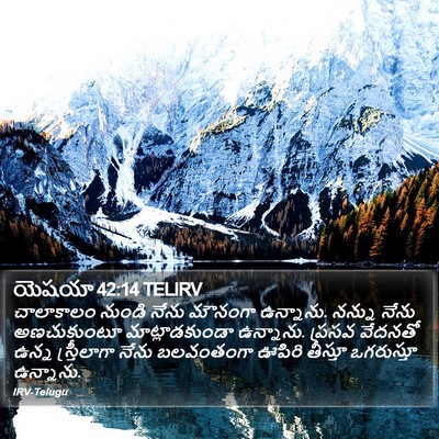 యెషయా 42:14 TELIRV Bible Verse Image