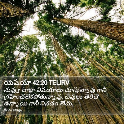 యెషయా 42:20 TELIRV Bible Verse Image