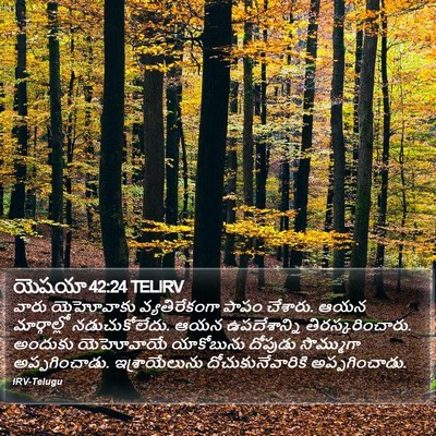 యెషయా 42:24 TELIRV Bible Verse Image