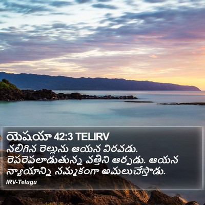 యెషయా 42:3 TELIRV Bible Verse Image