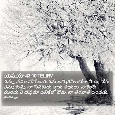 యెషయా 43:10 TELIRV Bible Verse Image