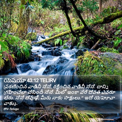 యెషయా 43:12 TELIRV Bible Verse Image