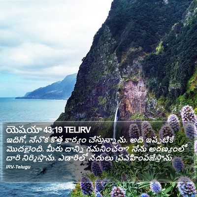 యెషయా 43:19 TELIRV Bible Verse Image