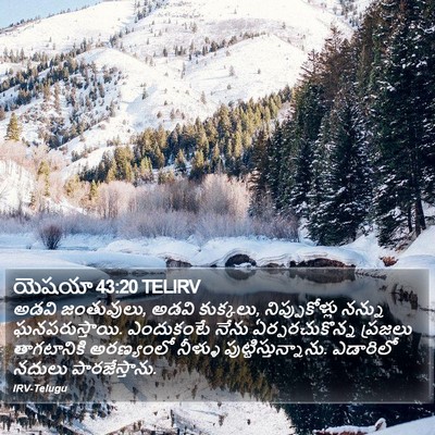 యెషయా 43:20 TELIRV Bible Verse Image