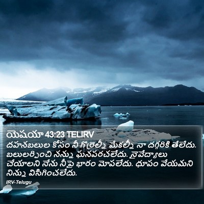 యెషయా 43:23 TELIRV Bible Verse Image