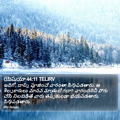 యెషయా 44:11 TELIRV Bible Verse Image