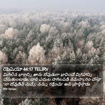 యెషయా 44:17 TELIRV Bible Verse Image