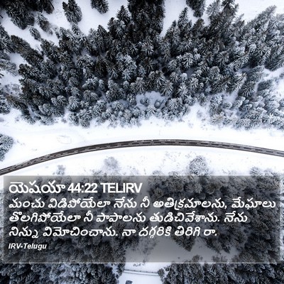 యెషయా 44:22 TELIRV Bible Verse Image