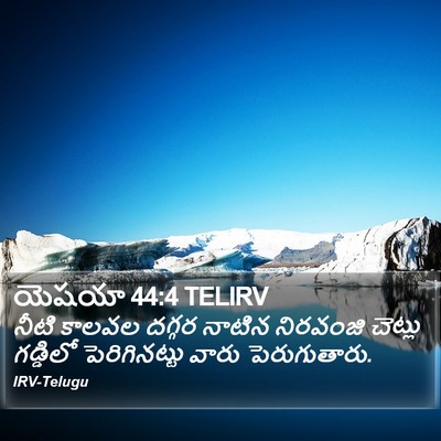 యెషయా 44:4 TELIRV Bible Verse Image