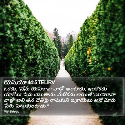 యెషయా 44:5 TELIRV Bible Verse Image