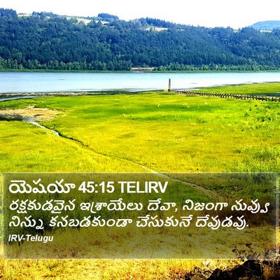 యెషయా 45:15 TELIRV Bible Verse Image