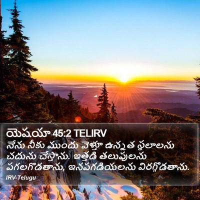 యెషయా 45:2 TELIRV Bible Verse Image
