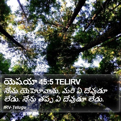 యెషయా 45:5 TELIRV Bible Verse Image