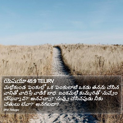 యెషయా 45:9 TELIRV Bible Verse Image