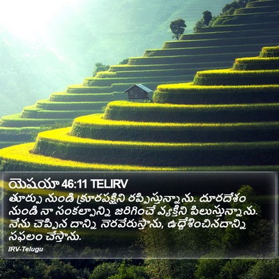 యెషయా 46:11 TELIRV Bible Verse Image