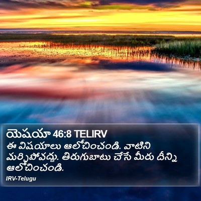 యెషయా 46:8 TELIRV Bible Verse Image