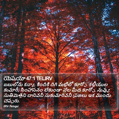 యెషయా 47:1 TELIRV Bible Verse Image
