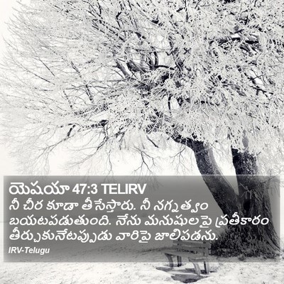యెషయా 47:3 TELIRV Bible Verse Image