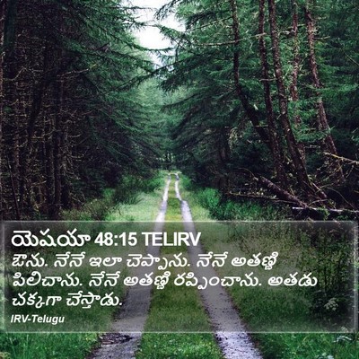 యెషయా 48:15 TELIRV Bible Verse Image