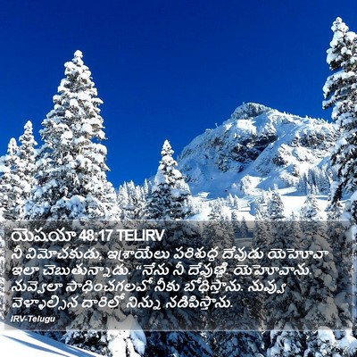యెషయా 48:17 TELIRV Bible Verse Image