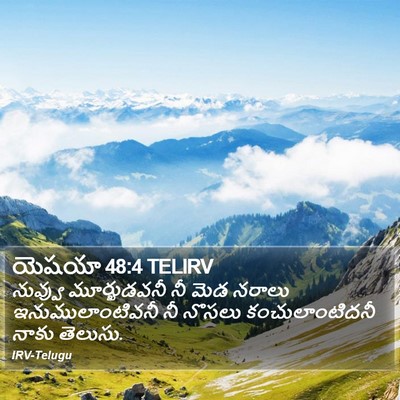 యెషయా 48:4 TELIRV Bible Verse Image