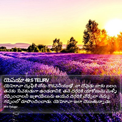 యెషయా 49:5 TELIRV Bible Verse Image