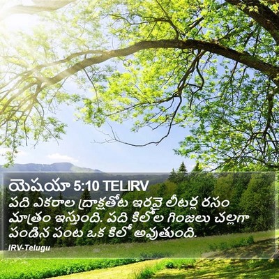 యెషయా 5:10 TELIRV Bible Verse Image