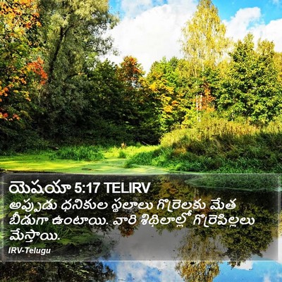 యెషయా 5:17 TELIRV Bible Verse Image