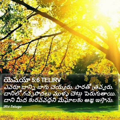 యెషయా 5:6 TELIRV Bible Verse Image