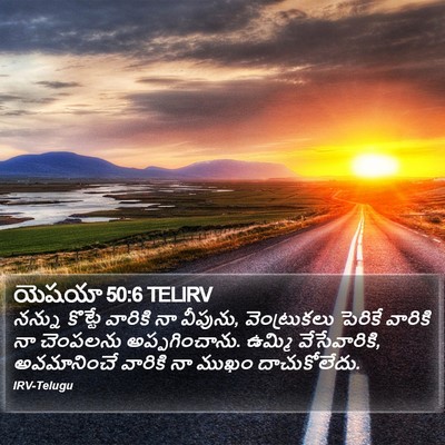 యెషయా 50:6 TELIRV Bible Verse Image