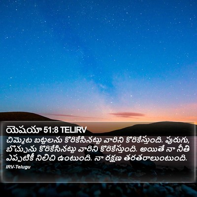 యెషయా 51:8 TELIRV Bible Verse Image