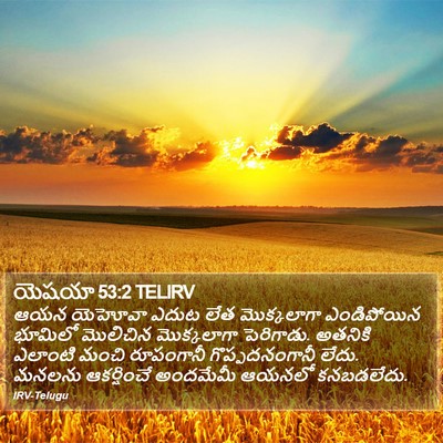 యెషయా 53:2 TELIRV Bible Verse Image