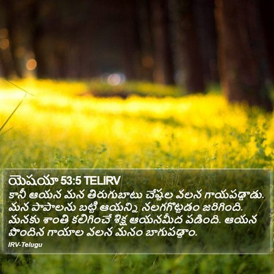 యెషయా 53:5 TELIRV Bible Verse Image