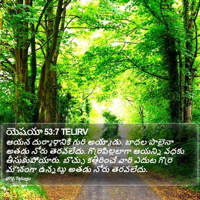 యెషయా 53:7 TELIRV Bible Verse Image