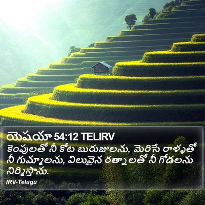 యెషయా 54:12 TELIRV Bible Verse Image