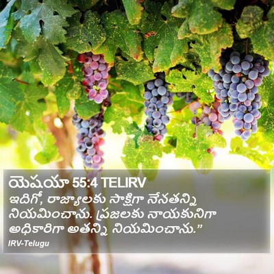 యెషయా 55:4 TELIRV Bible Verse Image