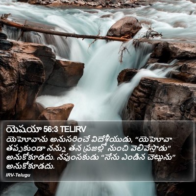 యెషయా 56:3 TELIRV Bible Verse Image