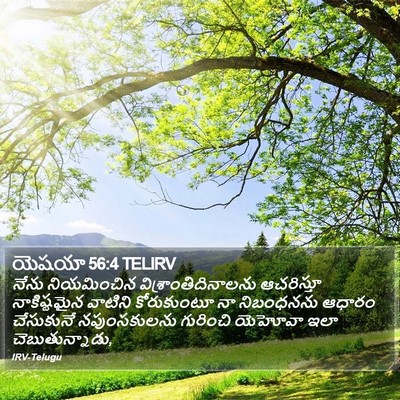 యెషయా 56:4 TELIRV Bible Verse Image