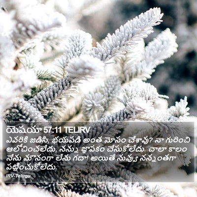 యెషయా 57:11 TELIRV Bible Verse Image