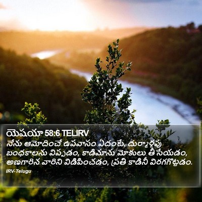యెషయా 58:6 TELIRV Bible Verse Image