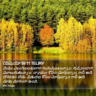 యెషయా 59:11 TELIRV Bible Verse Image