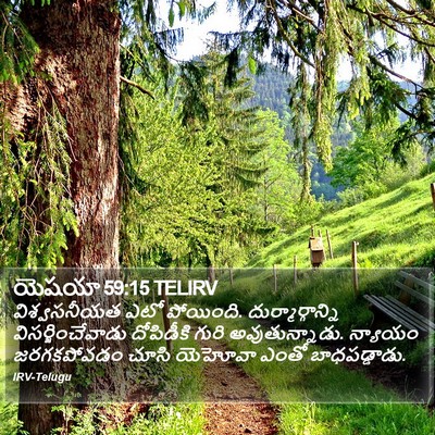 యెషయా 59:15 TELIRV Bible Verse Image