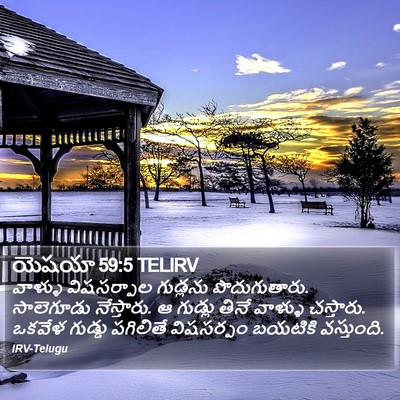 యెషయా 59:5 TELIRV Bible Verse Image