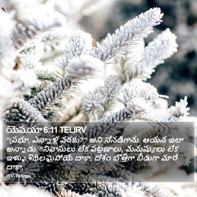 యెషయా 6:11 TELIRV Bible Verse Image