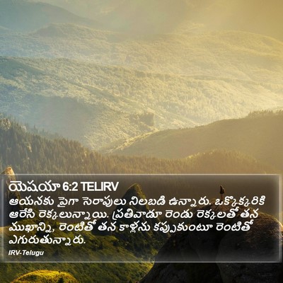 యెషయా 6:2 TELIRV Bible Verse Image