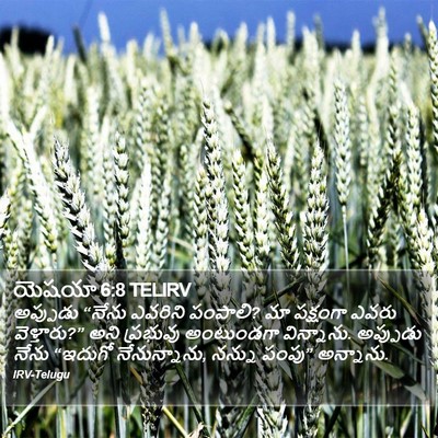 యెషయా 6:8 TELIRV Bible Verse Image