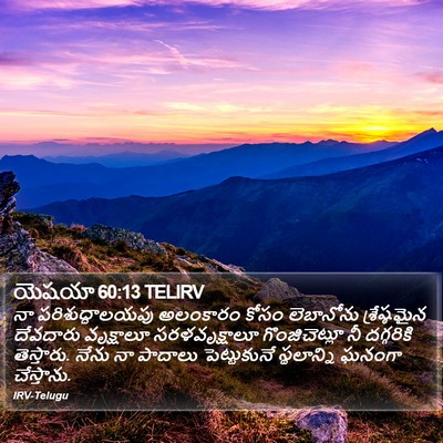 యెషయా 60:13 TELIRV Bible Verse Image