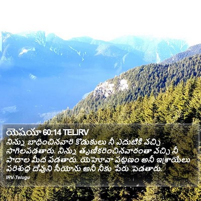 యెషయా 60:14 TELIRV Bible Verse Image